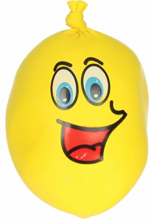 Actual product image Van Manen Veenendaal Stupid face plasticine head