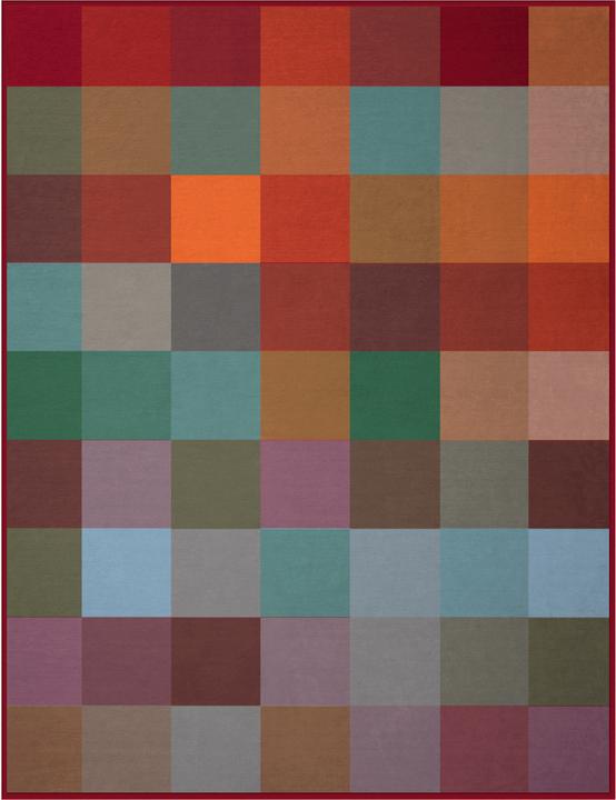 Actual product image Biederlack Living rug (220 x 240 cm)