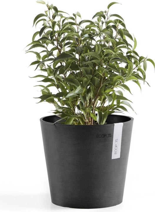 Actual product image Ecopots Amsterdam Mini (17 cm)