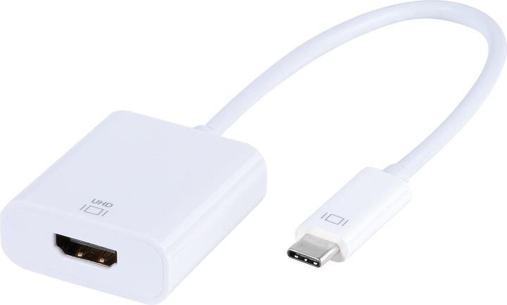 Actual product image Vivanco CA UC HD 1 USB graphic adapter Pixel (USB-C, 15 cm)