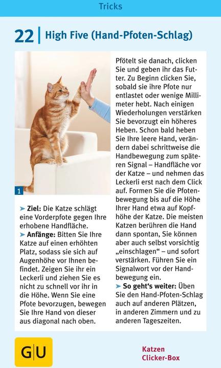 Actual product image Katzen-Clicker-Box (German, Birgit Rödder, 2013)