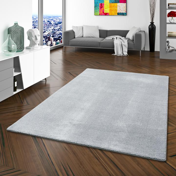 Produktbild Snapstyle Hochflor Luxus Velours Teppich Touch (80 x 400 cm)
