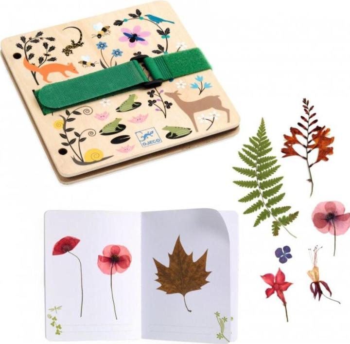 Actual product image Djeco DIY - plant press botany