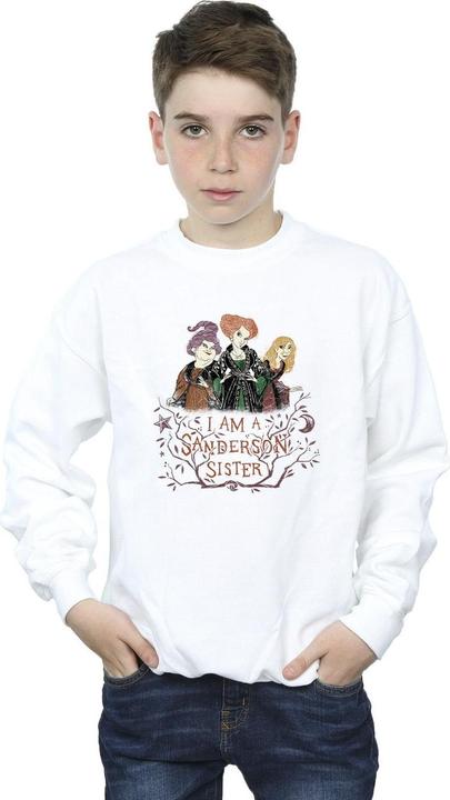 Immagine prodotto Disney Hocus Pocus Sanderson Sister Felpa Ragazzi (152, 158)