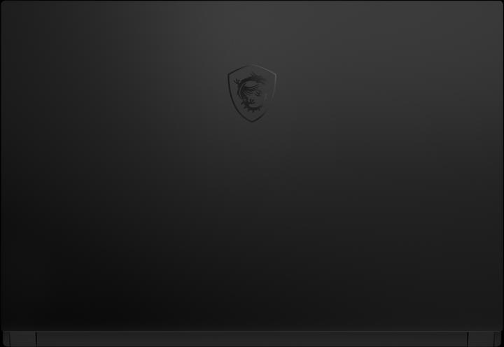 Produktbild MSI GS66 Stealth (15.60", Intel Core i7-10870H, 32 GB, 1000 GB, CH)