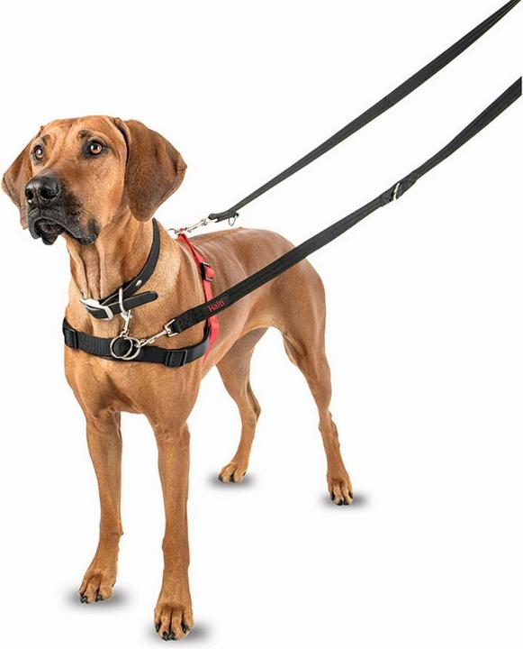 Produktbild Company of Animals Halti Antizug S Front Control (S, Hund, Allgemein)