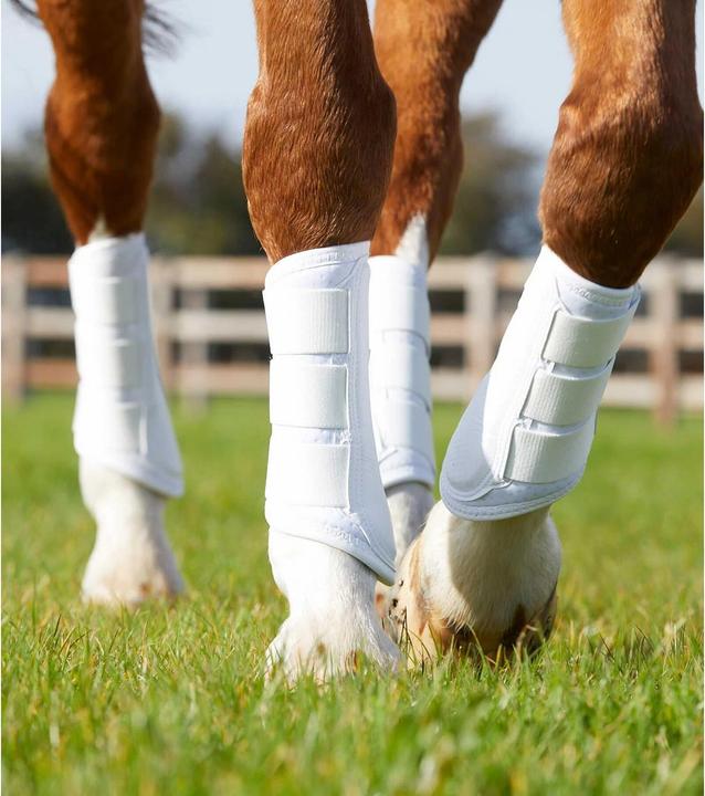 Immagine prodotto Premier Equine Stivali da lavoro Carbon Airtech