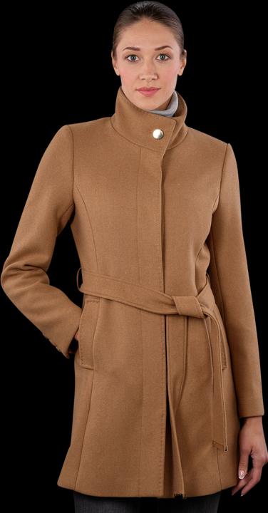 Dark Beige