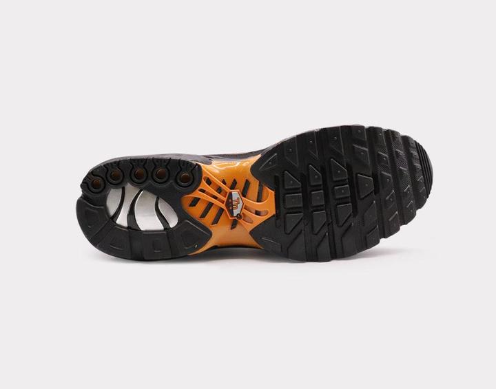 Actual product image Nike Air Max Plus (42.5)