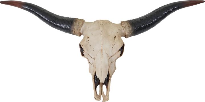 Image du produit JOHN316 Deko Schädel Longhorn