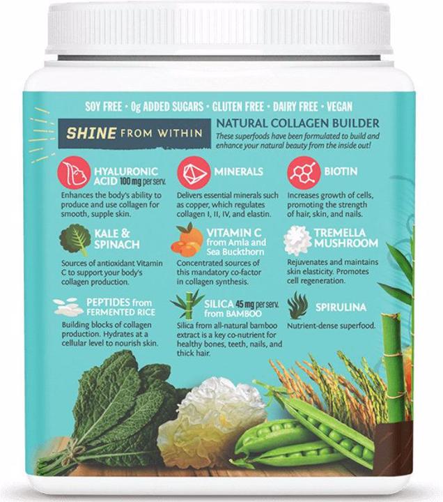 Actual product image Sunwarrior Collagen Building Protein Peptides Chocolate Fudge (1 Piece, Powder, 500 g)