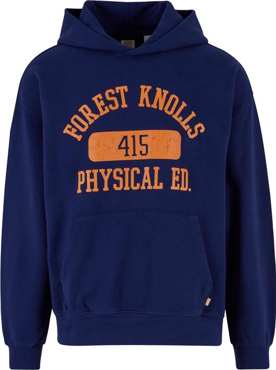 Levis Gold Tab Hoodie - 91087
