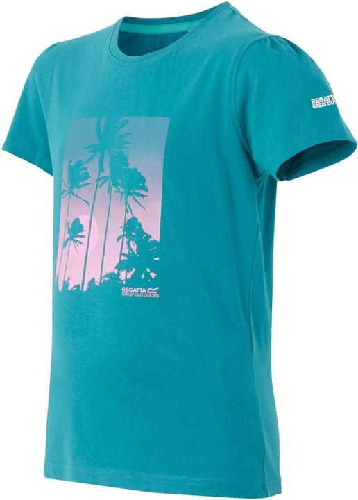 Actual product image Regatta Childrens/Kids Bosley VIII Palm Tree T-Shirt (140)