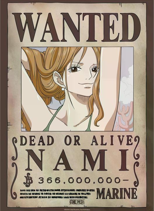 Immagine prodotto GB Eye One Piece - Nami e Robin