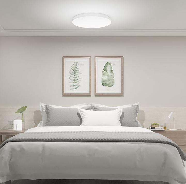 Actual product image Xiaomi Mi Ceiling Light (3100 lm)