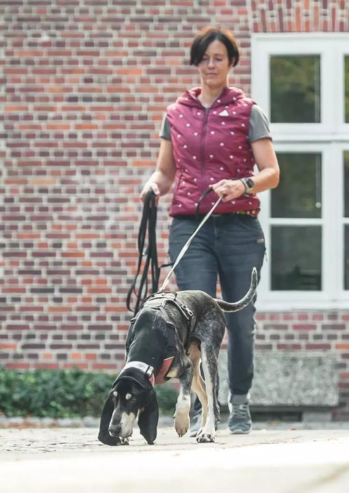 Produktbild Go. Find. Folge der Freude (Deutsch, Christina Blessmann, Susanna Simon, 2022)