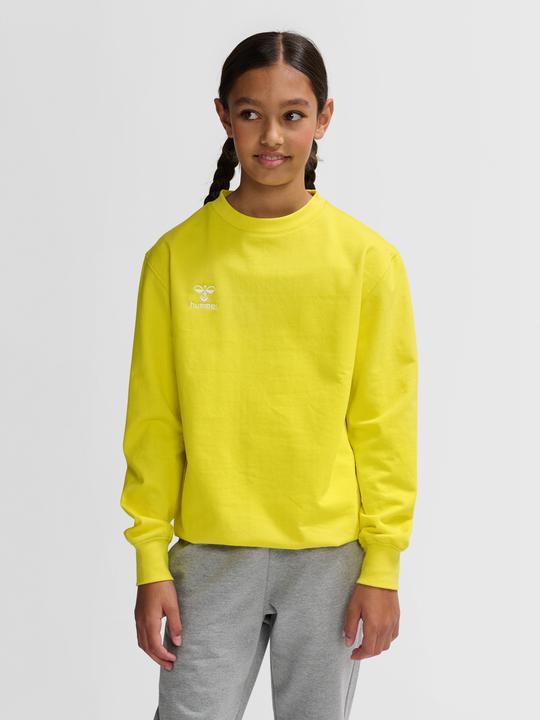 Image du produit hummel Hmlgo 2.0 Sweatshirt Enfants (128)
