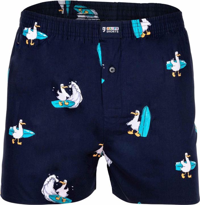Gabbiano surfista