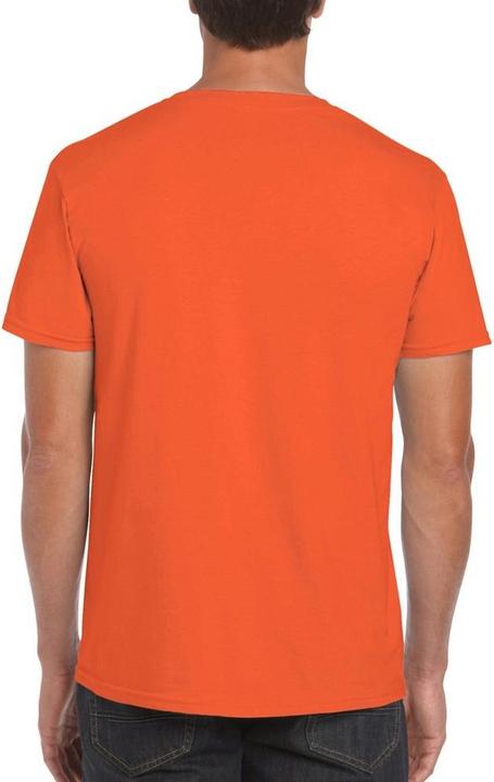 Actual product image Gildan Mens Short Sleeve Soft-Style T-Shirt (L)
