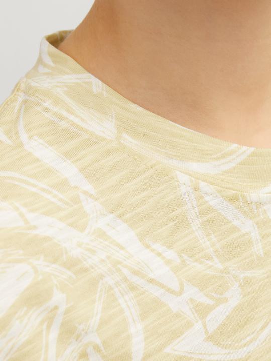 Image du produit Jack & Jones Jorlafayette Aop Tee Ss Crew Neck Jnr (176)