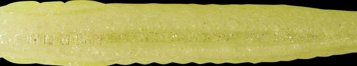 Gelb