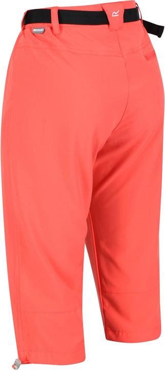 Actual product image Regatta Womens/Ladies Xert Stretch Casual Shorts (46 D)