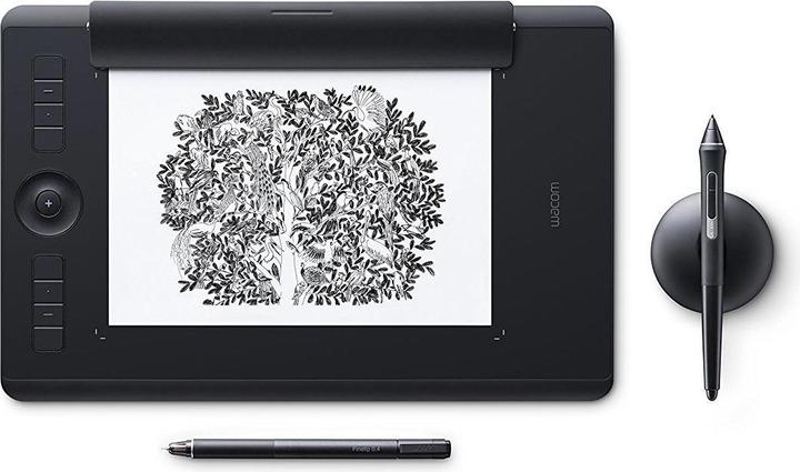 Wacom Intuos Pro Paper M (13", 5080 lpi)