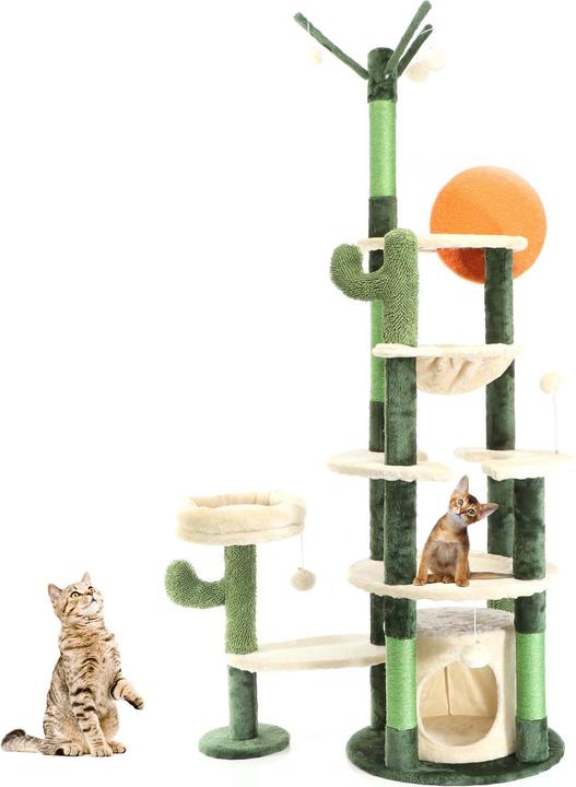 Actual product image Fudajo Cactus design (172 cm, Cactus green)