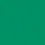 Actual product image Talens Opaque paint Ecoline 30ml (Forest green, 30 ml)