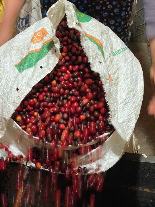 Produktbild Turm Kaffee Guatemala Huehuetenango el Limonar (250 g, Mittlere Röstung)