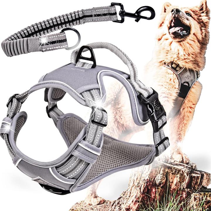 Actual product image Ne&no Hundegeschirr mit Ruckdämpfer (XL, Dog)