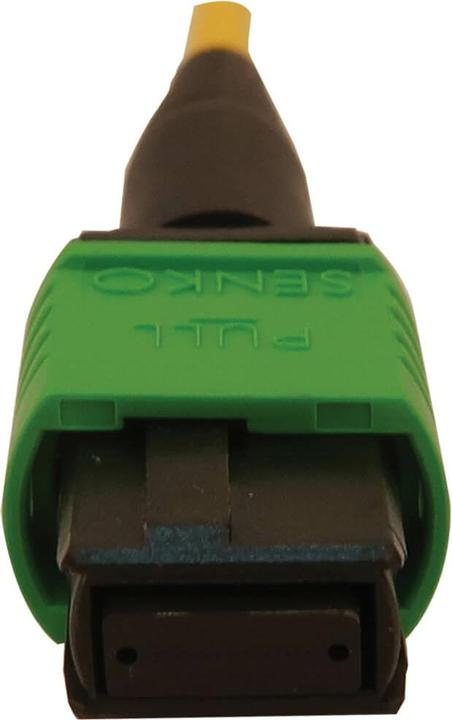 Immagine prodotto Eaton Cavo in fibra ottica breakout 40/100/400G monomodale 9/125 OS2 16F MTP/MPO-APC a 8x Du (2 m)