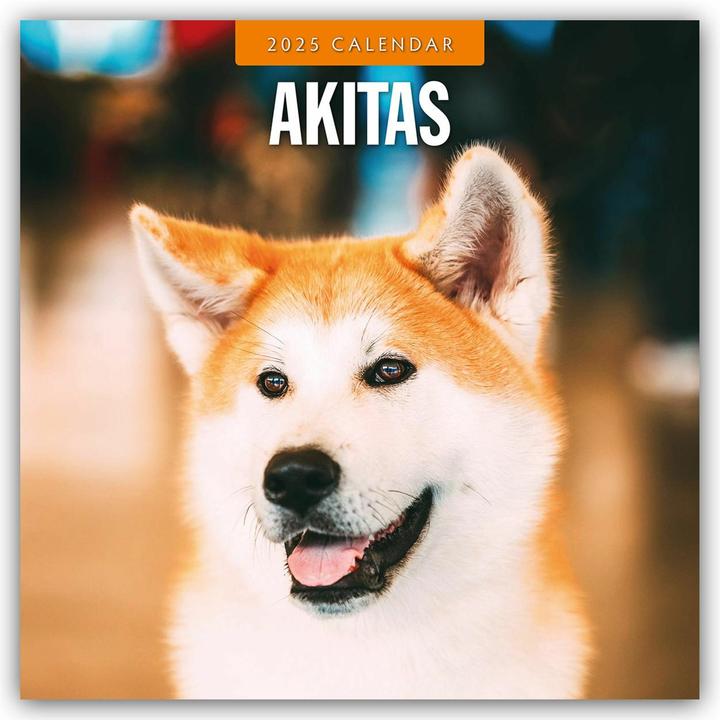 Image du produit Red Robin Publishing Ltd:Akitas - Akita (305 x 305 mm, Couverture rigide, Allemand)