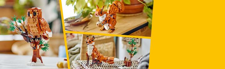 Immagine prodotto LEGO 31154 Animali della foresta: Volpe rossa (31154, LEGO Creator Expert)