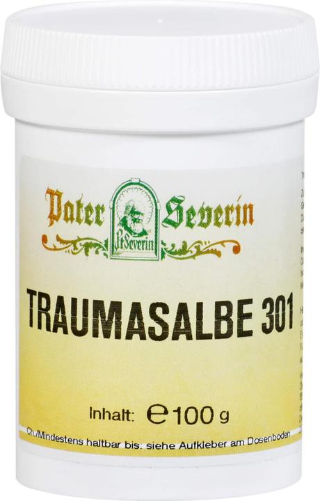 Hecht Pharma Traumasalbe 301 100g, 100 g Salbe (Körperlotion)