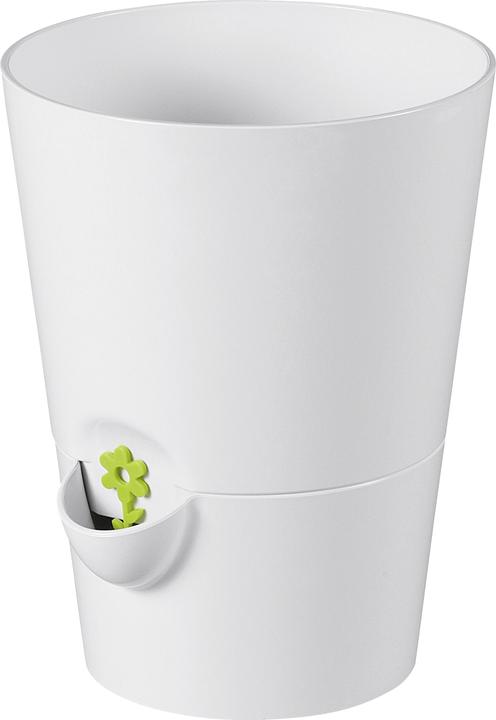 Emsa Herbes fraîches (13 cm)