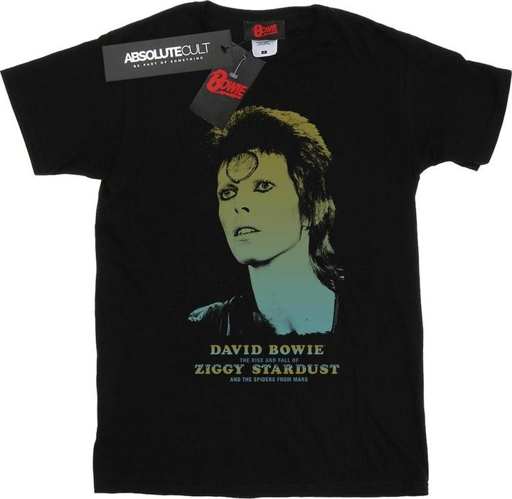 Actual product image David Bowie Womens/Ladies Ziggy Gradient Cotton Boyfriend T-Shirt (L)