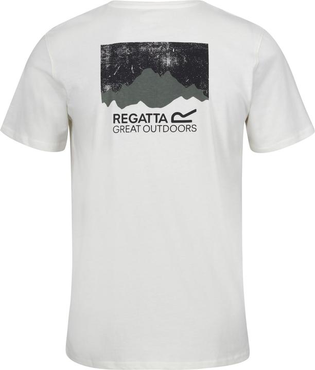 Actual product image Regatta Mens Breezed IV Graphic Print T-Shirt (M)