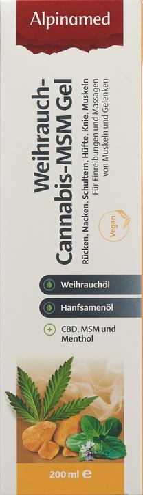 Immagine prodotto Alpinamed Gel MSM all'incenso e alla cannabis (1 x, 200 ml, 280 g)
