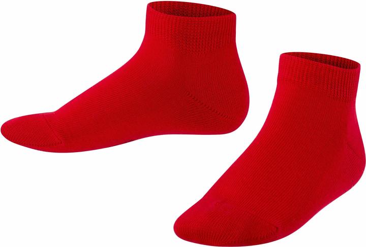 Falke Family SN