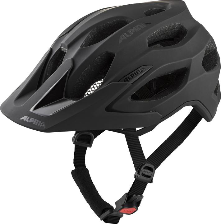 ALPINA SPORTS Carapax 2.0