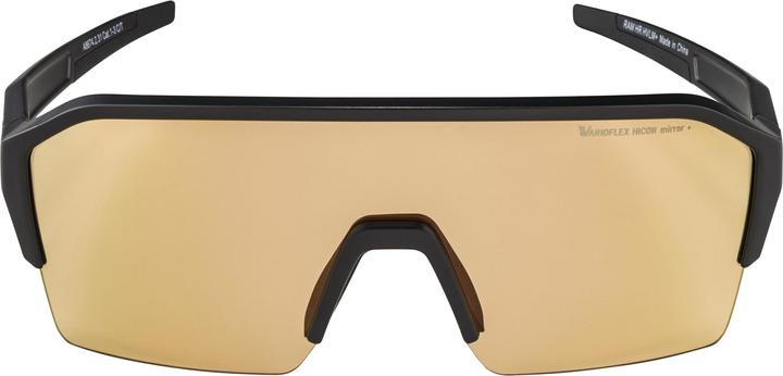 Immagine prodotto ALPINA SPORTS Ram HR Q-Lite V (Nero, Specchio d'argento)
