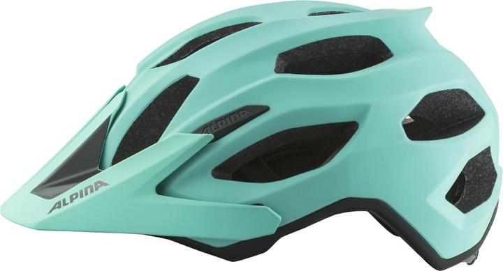Produktbild ALPINA SPORTS Carapax 2.0 (52 - 57 cm)