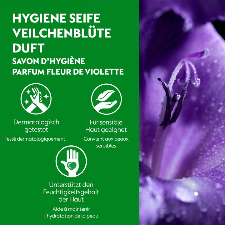 Produktbild Dettol No Touch (Handseife Nachfüllpackung, 250 ml)