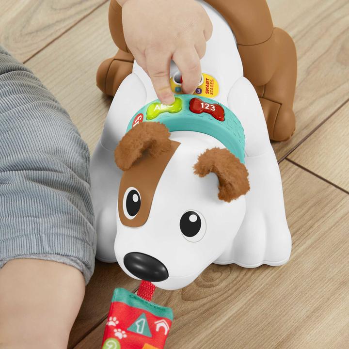 Produktbild Fisher-Price - 123 Crawl With Me Puppy-DU