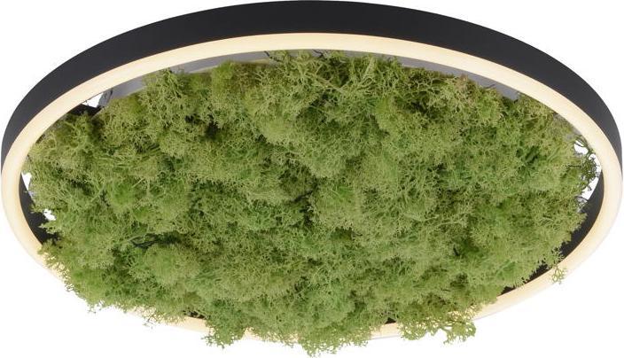 Produktbild Leuchten Direkt Green Ritus (2650 lm)