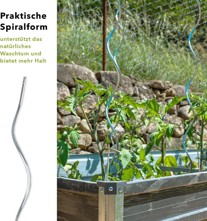 Image du produit Karat Tomatenspiralstäbe (0.60 cm, 0.60 cm)