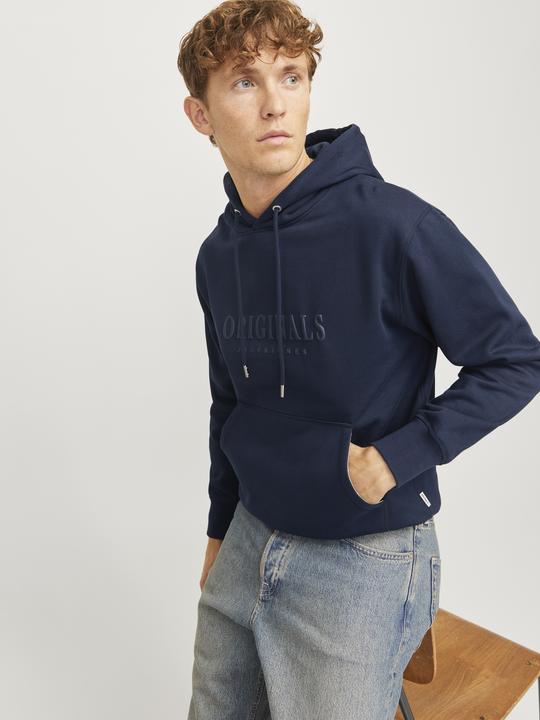 Actual product image Jack & Jones Jorfrederiksberg Sweat Hood Sn (S)