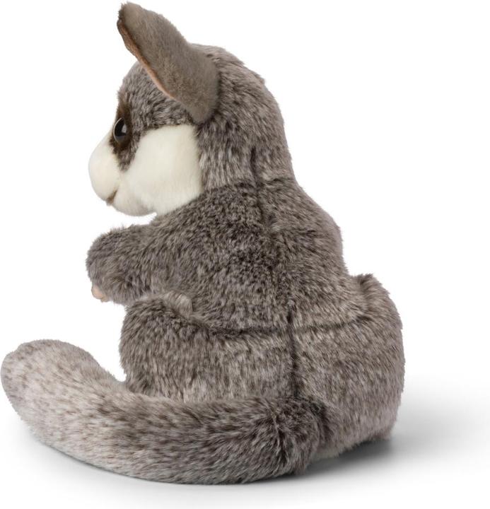 Actual product image WWF Bush baby sitting (25 cm)