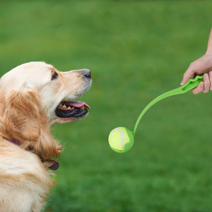 Produktbild Relaxdays Ballschleuder (Ballspielzeug Hund)